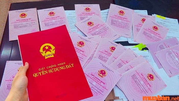 phương pháp tra cứu sổ đỏ
