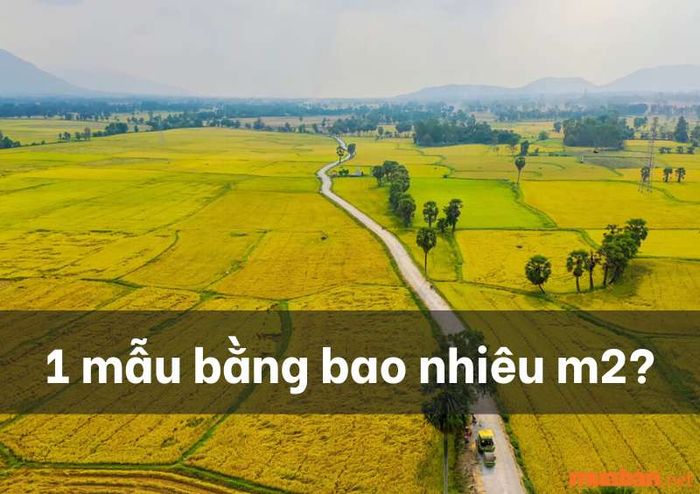 1 mẫu tương đương bao nhiêu m2? Bảng chuyển đổi mẫu đất cập nhật mới nhất 2024