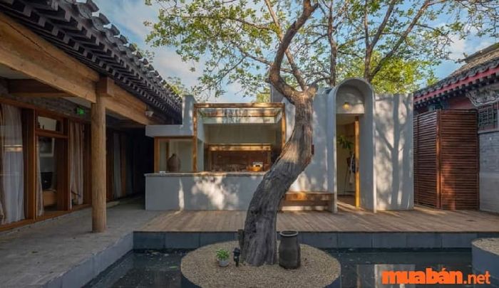 Một góc đặc sắc trong Tứ Hợp Viện hiện đại