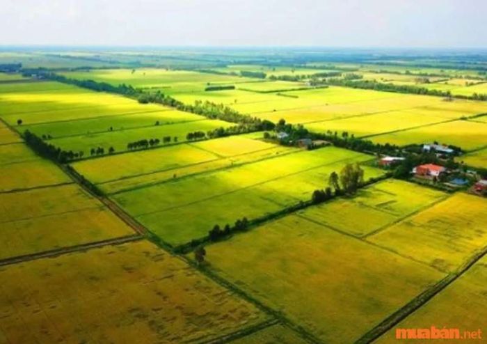 Bảng chuyển đổi mẫu đất chính xác nhất hiện nay