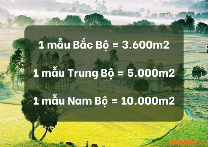 Chuyển đổi 1 mẫu bằng bao nhiêu m2 theo từng khu vực