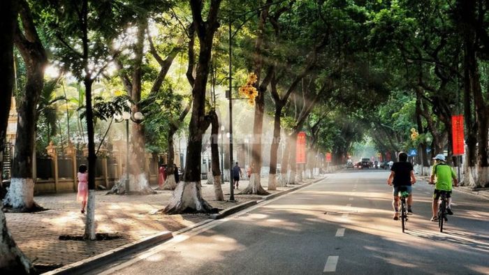 VI. Tiềm năng bất động sản tại Đống Đa