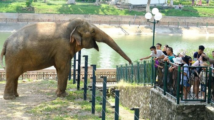 Quận Ba Đình có tổng cộng bao nhiêu phường?