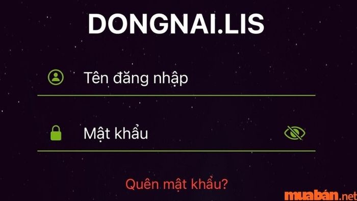 phương pháp tra cứu sổ đỏ