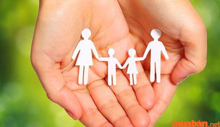 Đất chuyên dụng là gì - Quyền và nghĩa vụ của hộ gia đình sử dụng đất chuyên dụng