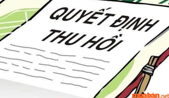 Đất chuyên dùng là gì và các trường hợp không được bồi thường