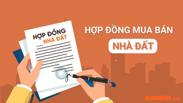 Mẫu hợp đồng Mytour nhà đất chi tiết cùng quy trình công chứng