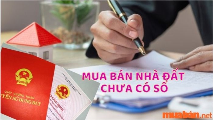 Kinh nghiệm trả tiền khi mua đất