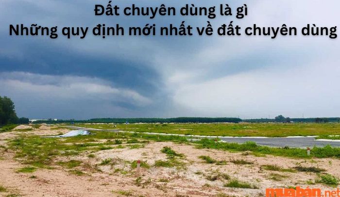 Khái niệm về đất chuyên dùng và những quy định liên quan