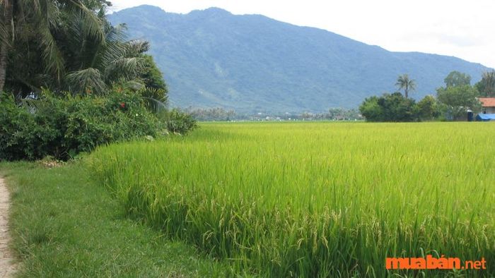 Các loại giấy tờ cần thiết trong quy trình đăng ký biến động đất đai