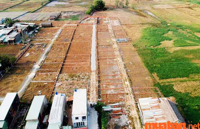 đất nông nghiệp khác là gì