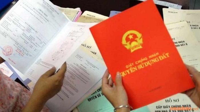 Chủ sở hữu cần thực hiện thủ tục chuyển đổi từ đất rừng sản xuất sang đất xây dựng nhà để tiến hành xây nhà ở.