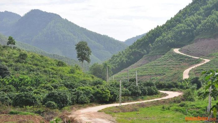 Diện tích đất RSX có thể được thế chấp nhưng không được vượt quá 300 ha.
