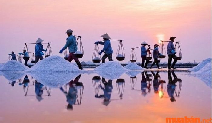 Đất chuyên dùng có thể được sử dụng để phơi muối.