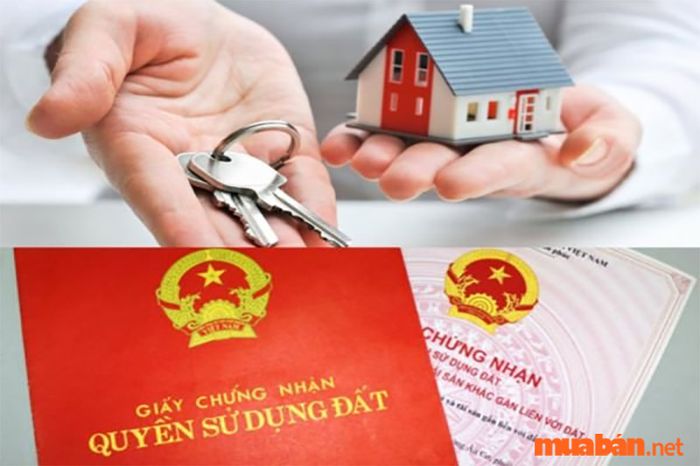 Quy trình công chứng chuyển nhượng quyền sử dụng đất bao gồm nhiều bước khác nhau.