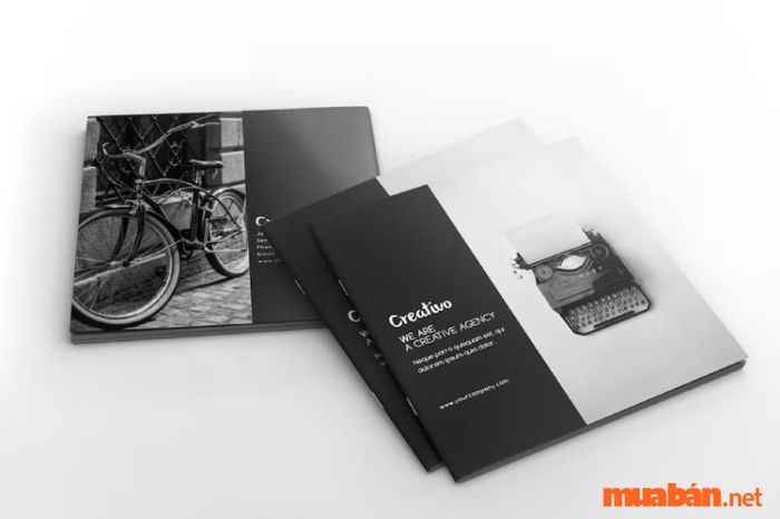 Mẫu thiết kế Booklet phong cách