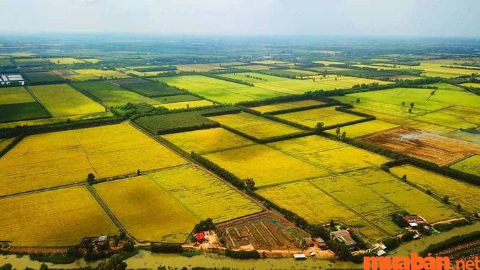 Đất nông nghiệp khác là gì