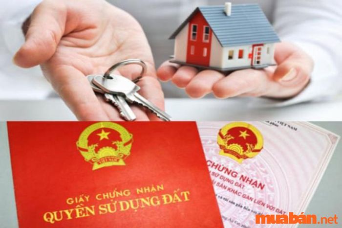 Quy định về chuyển nhượng đất RSX