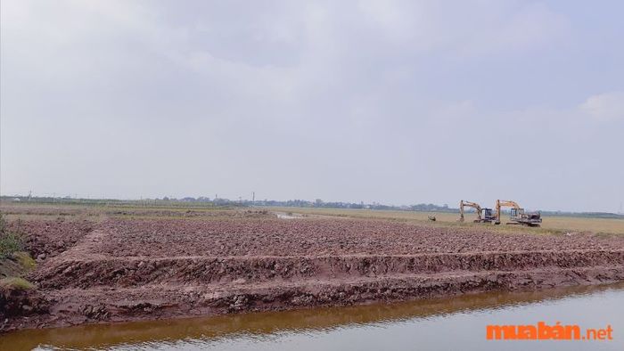 Phương pháp chuyển đổi đơn vị đo sang mét vuông