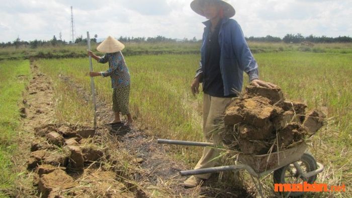 Quy định về việc đăng ký biến động đất đai