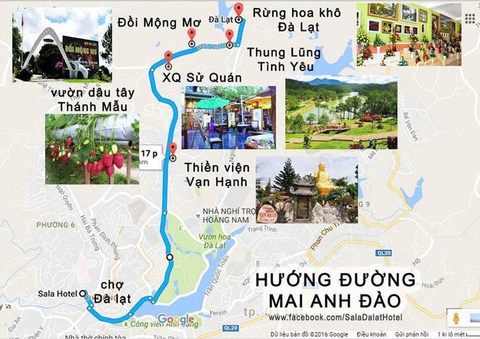 Hướng dẫn đường đi đến rừng hoa Đà Lạt (Ảnh: Sưu tầm)