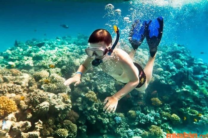 Khi đến Dăm Ngang - Gầm Ghì, bạn sẽ có cơ hội tham gia lặn biển để ngắm nhìn những rặng san hô.