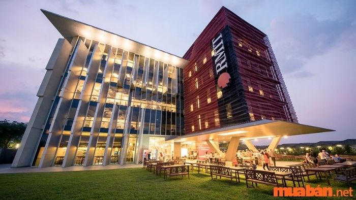 RMIT HCM
