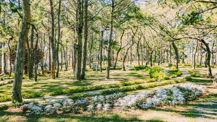 Rừng hoa Đà Lạt, hay còn gọi là showroom hoa khô Đà Lạt, được thành lập vào tháng 10 năm 2003