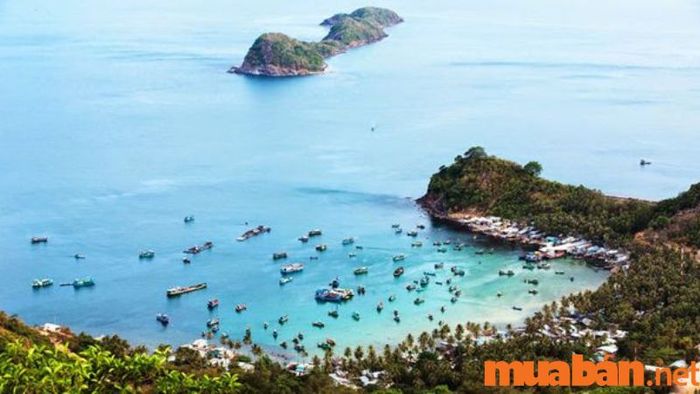 Nhiều tour du lịch phong phú