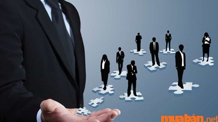 Có kiến thức về quản lý