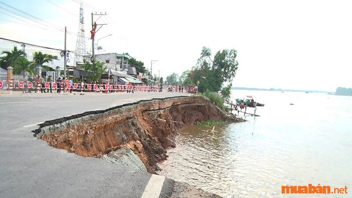 Xói mòn đất thực sự là gì? Nguyên nhân và các biện pháp hiệu quả để khắc phục