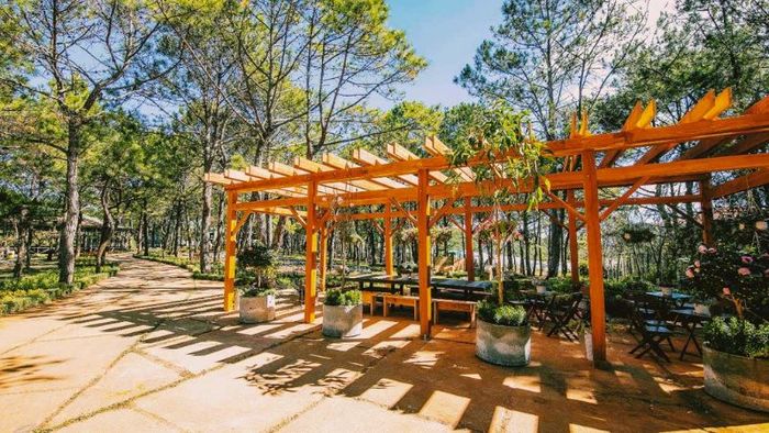 Thưởng thức cà phê và tận hưởng khung cảnh núi rừng trong không gian yên tĩnh.