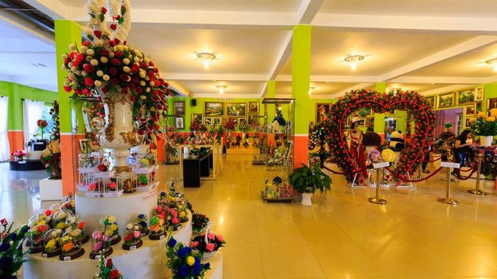 Trải nghiệm tham quan khu rừng hoa khô Đà Lạt