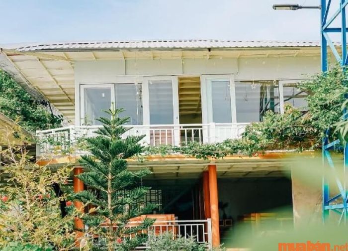 Toàn cảnh Bungalow Mai Phong