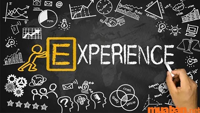 Kinh nghiệm làm việc