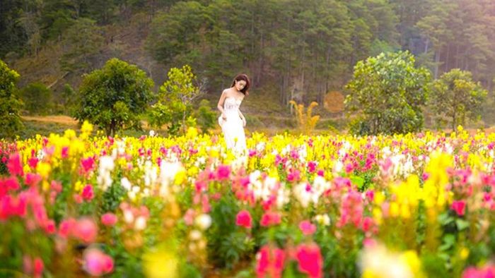 Địa điểm sống ảo đẹp như trong phim