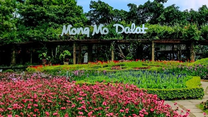 Những điểm tham quan gần gũi với rừng hoa Đà Lạt