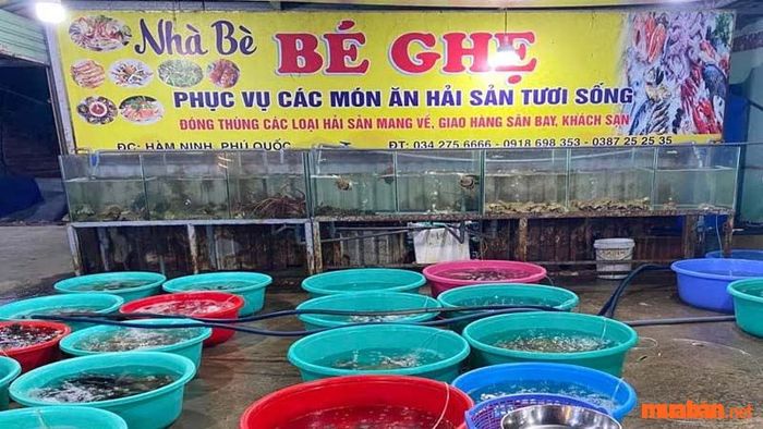 Nhà bè Bé Ghẹ cung cấp nhiều món ăn nổi tiếng và hấp dẫn tại làng chài Phú Quốc