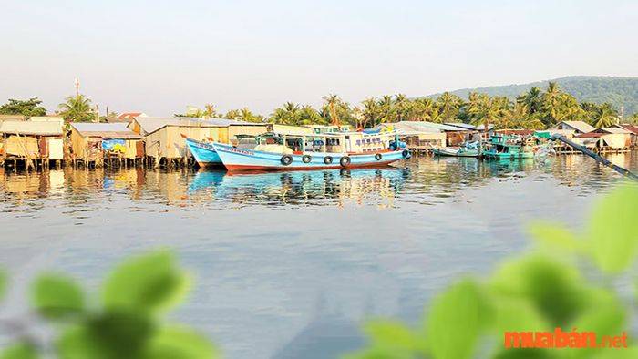 Buổi sáng bình yên tại một làng chài Phú Quốc