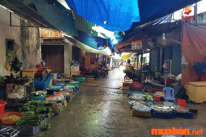 Chợ Gành Dầu - khu chợ Phú Quốc vẫn lưu giữ vẻ đẹp hoang sơ