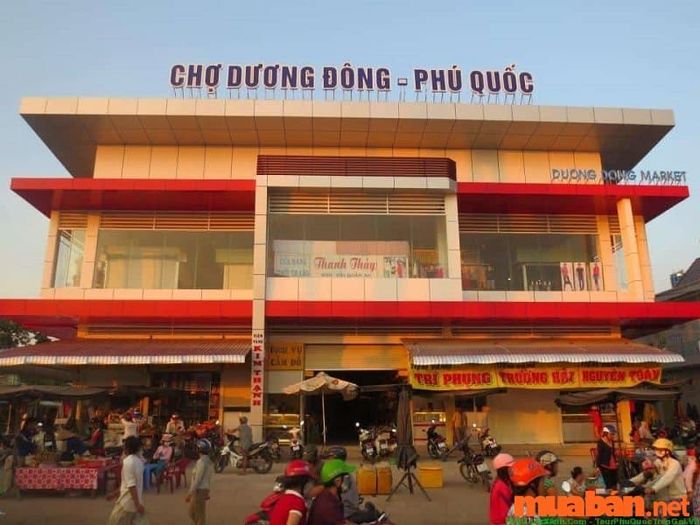 Chợ Dương Đông là khu chợ lớn nhất tại Phú Quốc chuyên cung cấp hải sản