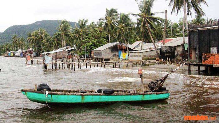 Làng chài Rạch Tràm vẫn giữ trọn vẹn vẻ đẹp hoang sơ