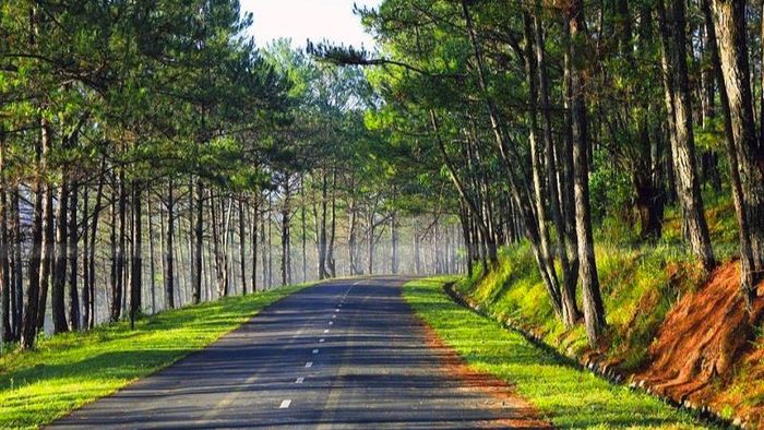 Những trải nghiệm du lịch Thung Lũng Vàng không thể thiếu