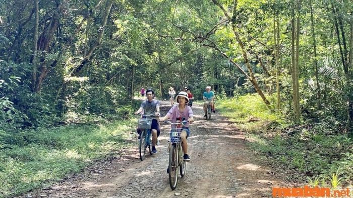 Hướng dẫn đường đến bản Cát Cát bằng xe đạp