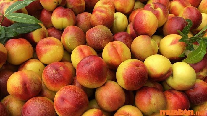 Món đặc sản địa phương tại bản Cát Cát không thể bỏ qua - Các loại trái cây vùng núi