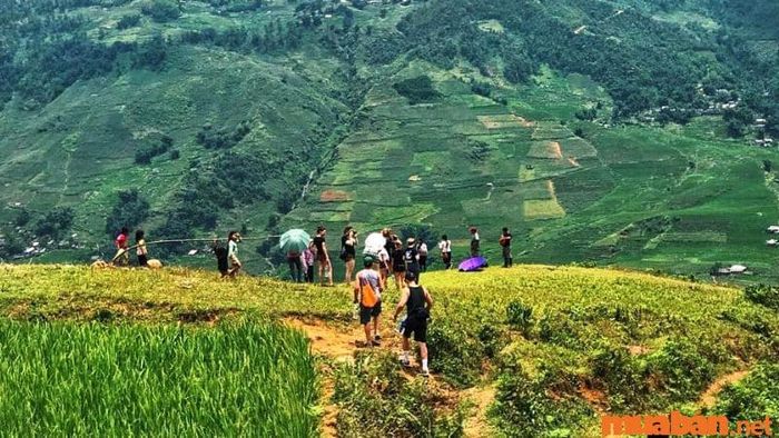 Hướng dẫn đường đến bản Cát Cát bằng đi bộ đường dài