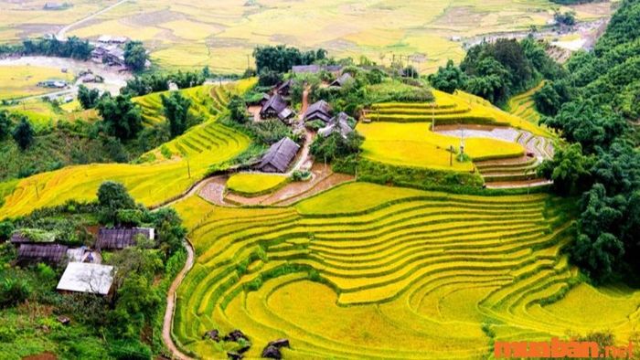 Ruộng bậc thang là một biểu tượng văn hóa đặc trưng của cư dân vùng Tây Bắc