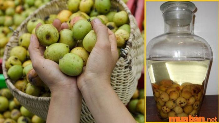 Món đặc sản địa phương tại bản Cát Cát không thể bỏ qua - Rượu táo mèo