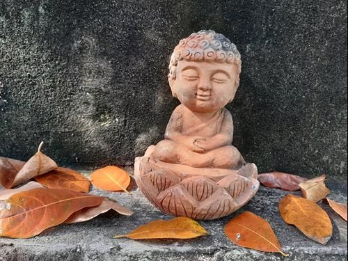 Nguyên tắc gián tiếp