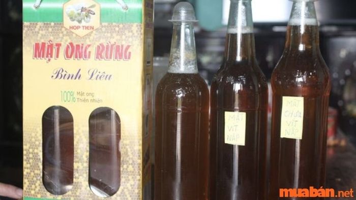 kinh nghiệm du lịch bình liêu